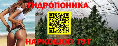 стаф Апшеронск