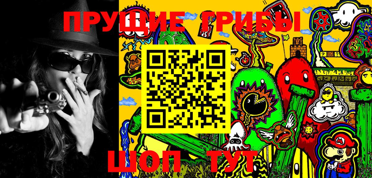 Аргун  Галлюциногенные грибы GOLDEN TEACHER  Вход с VPN 